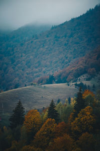Scenic view of landscape against sky during autumn