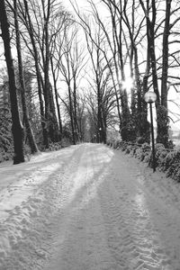 Empty road along bare trees in winter