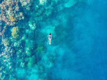 High angle view of woman swimming in sea