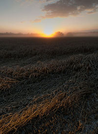 Scenic view of landscape at sunset