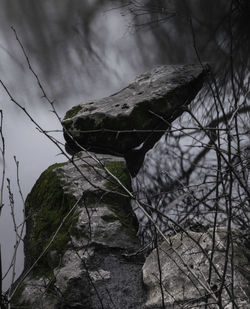 Close-up of rock on land against sky