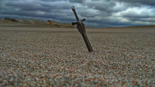 Close-up of lizard on sand against sky