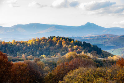Scenic view of landscape against sky during autumn