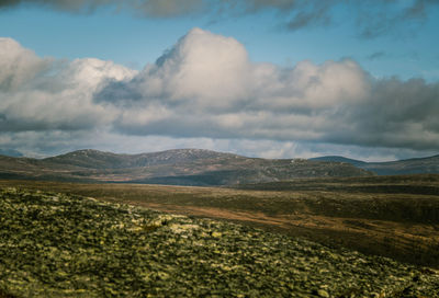 Scenic view of field against sky