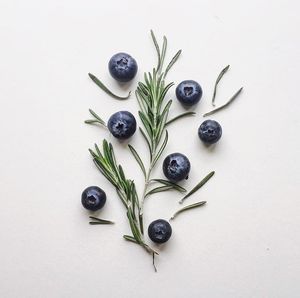 High angle view of candies against white background