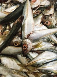Close-up of fish for sale in market