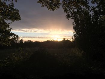 Silhouette trees on landscape against sky at sunset