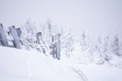 snow