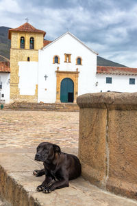 Dog sitting by built structure against sky