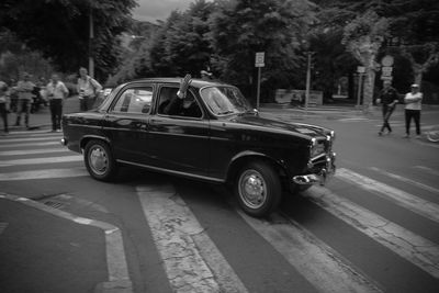 Car on street against trees