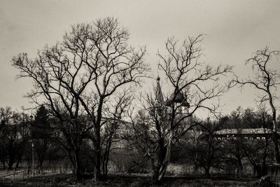 Bare trees on field against sky