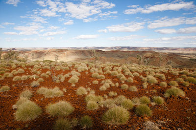 Scenic view of landscape against sky