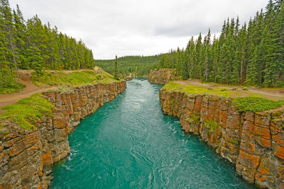 Fast moving water in a miles canyon in the yukon