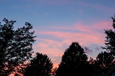 Low angle view of silhouette trees against sky