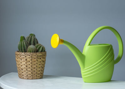 Close-up of succulent plant in basket on table against wall