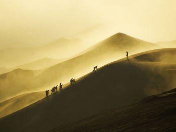 Silhouette people climbing on sand dune at desert during sunset