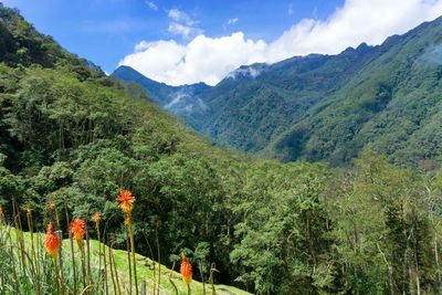 Scenic view of mountains against sky