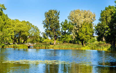Scenic view of lake in forest against sky