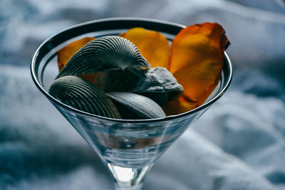 Close-up of seashells in wineglass