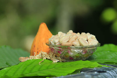 Close-up of fresh green leaves on plant