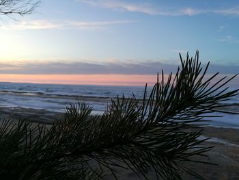 Scenic view of sea against sky at sunset