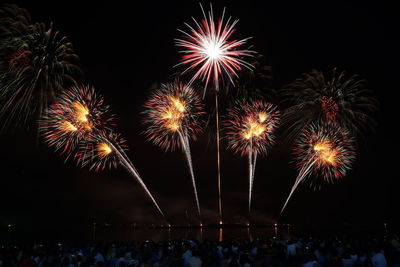 Firework display at night