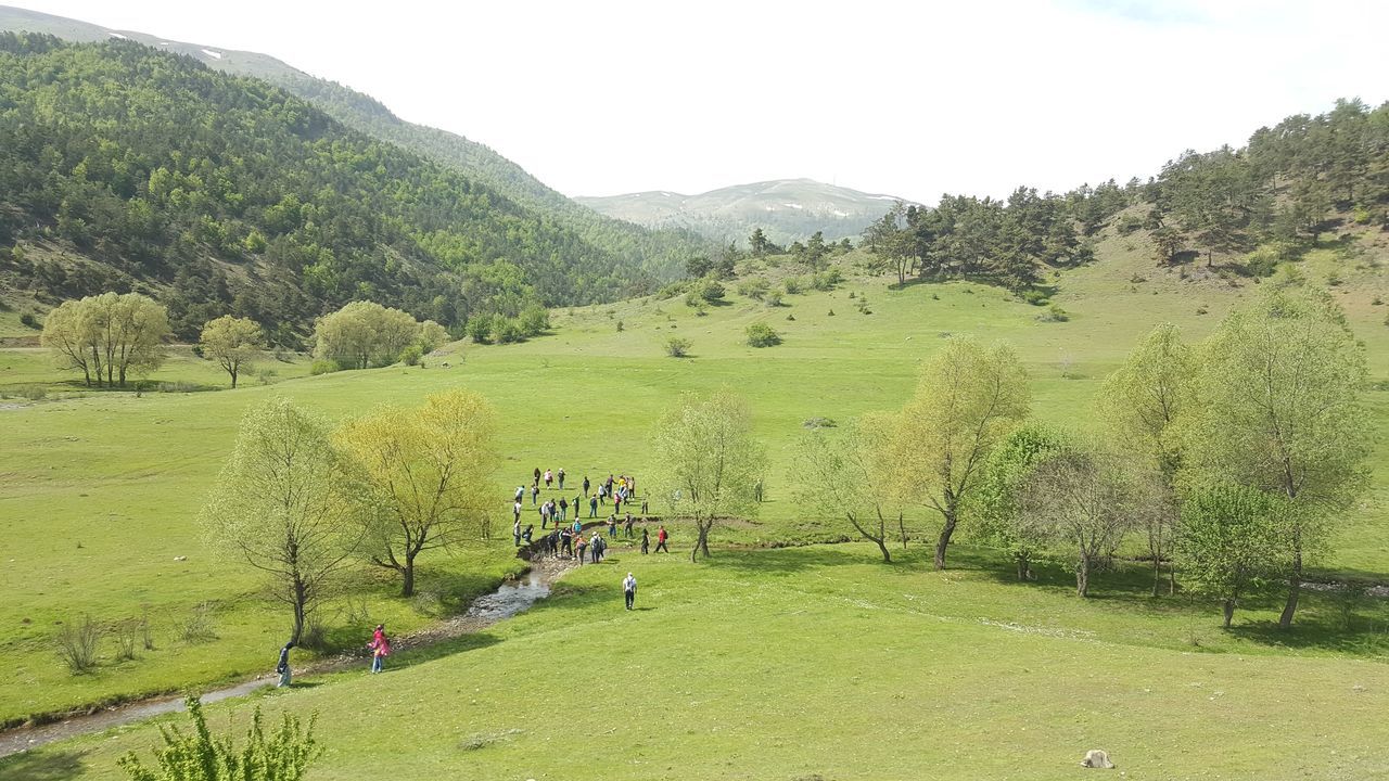 growth, nature, grass, tree, green color, beauty in nature, outdoors, mountain, tranquility, tranquil scene, real people, scenics, day, sky, freshness