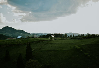 Scenic view of field against sky