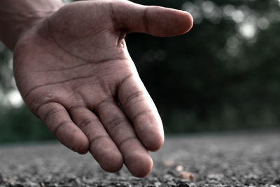 Close-up of hand