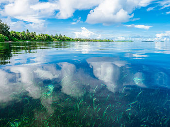 Scenic view of sea against sky