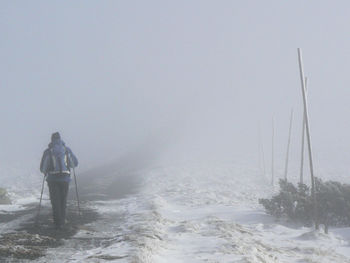 Rear view of man walking on snow covered shore against clear sky