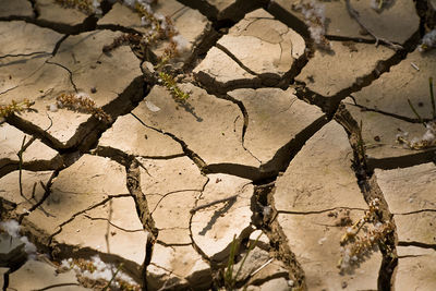 Full frame shot of cracked land