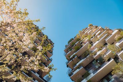 Low angle view of buildings against blue sky