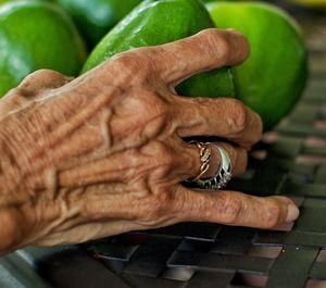 Close-up of human hand holding leaf