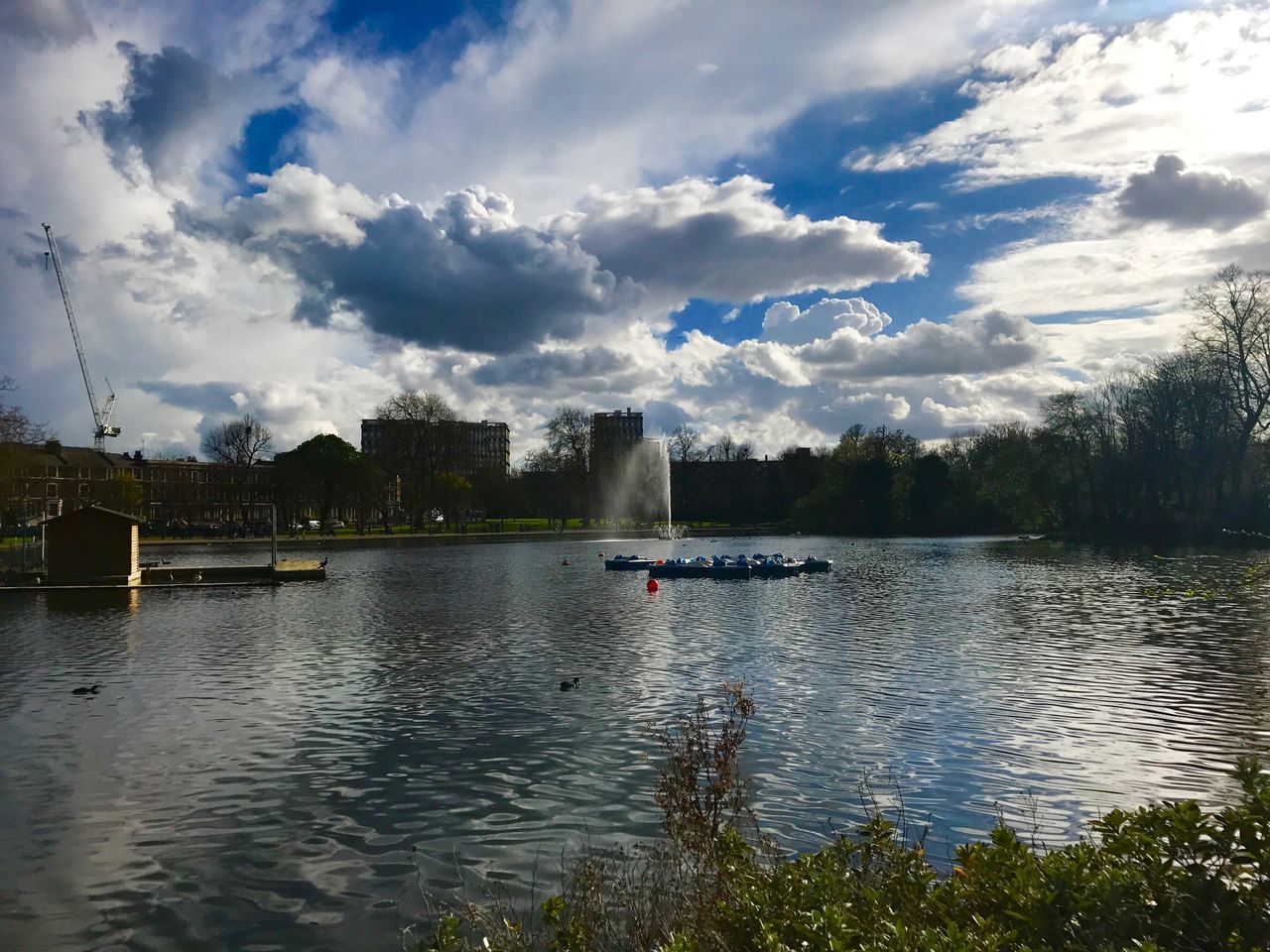 reflection, water, sky, cloud - sky, tree, nature, lake, travel destinations, outdoors, bird, day, no people, pedal boat