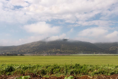 Scenic view of field against sky