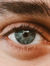 Close-up portrait of human eye