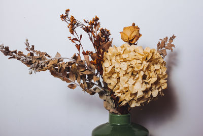 Close-up of dried plant in vase against wall