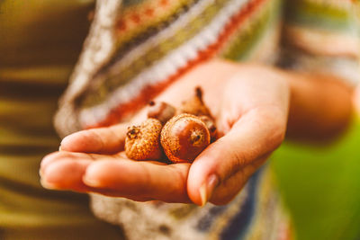 Cropped image of woman holding acorns