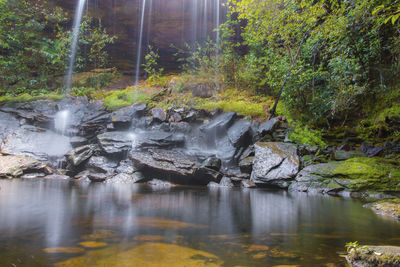 Beautiful scene, waterfall in forest - selective focus.