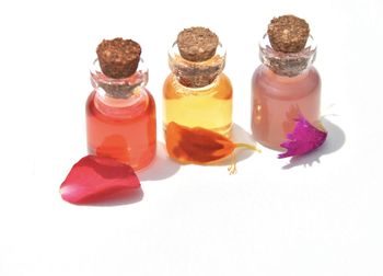 Close-up of pink flowers against white background