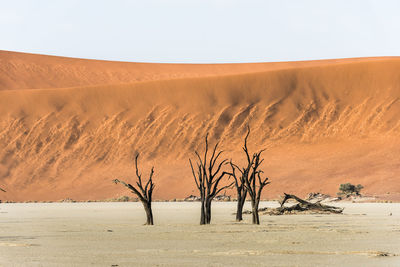 Scenic view of desert against clear sky