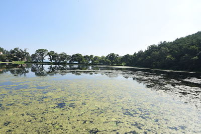 Scenic view of lake against clear sky