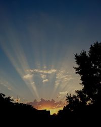 Low angle view of silhouette trees against sky during sunset