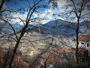 Bare trees by building against sky