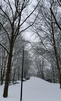 Bare trees on snow covered landscape