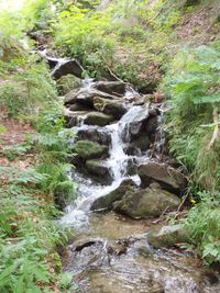 Scenic view of waterfall in forest