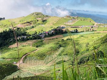 Scenic view of agricultural field against sky