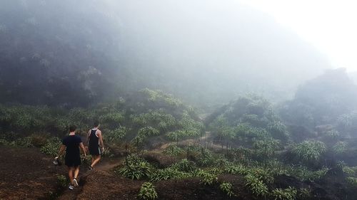 Rear view of people walking on mountain in foggy weather