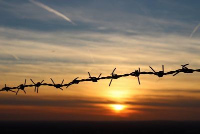 Silhouette of barbed wire against sky during sunset